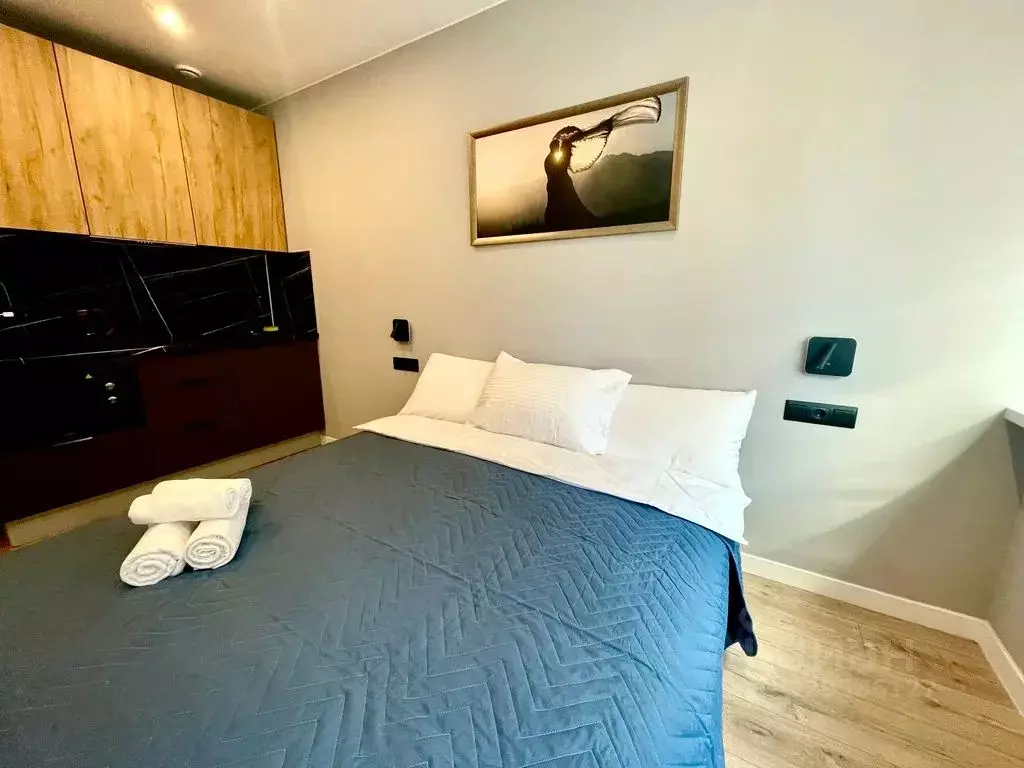 Студия Санкт-Петербург просп. Энергетиков, 2к2 (24.0 м) - Фото 2