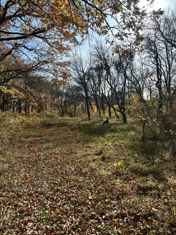 Участок в Крым, Алушта муниципальный округ, пос. Лаванда, Заречный мкр ... - Фото 1