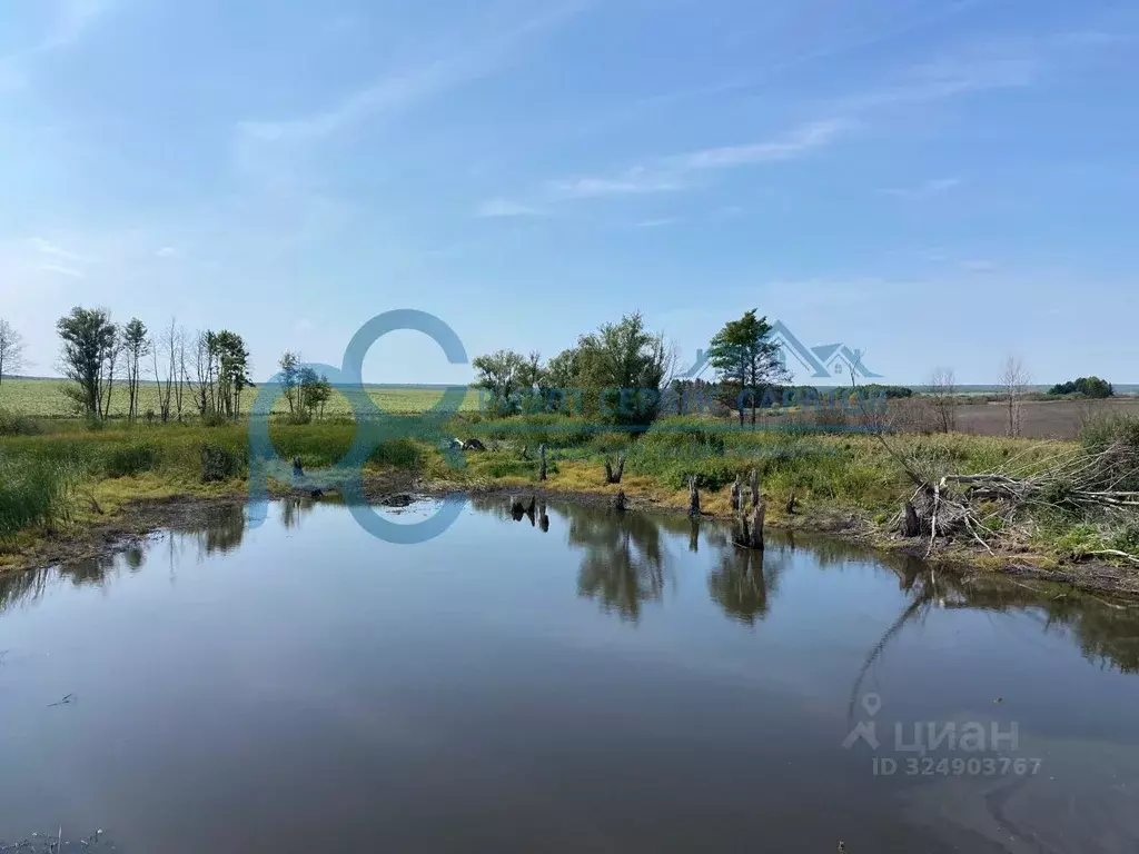 Участок в Саратовская область, Новобурасский район, Тепловское ... - Фото 1