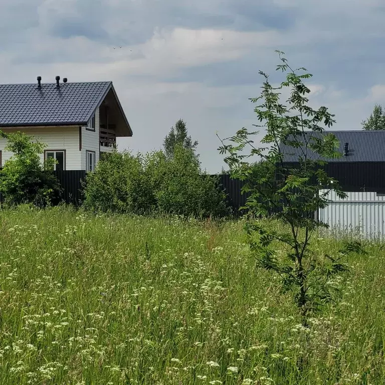 Участок в Московская область, Дмитровский муниципальный округ, ... - Фото 1