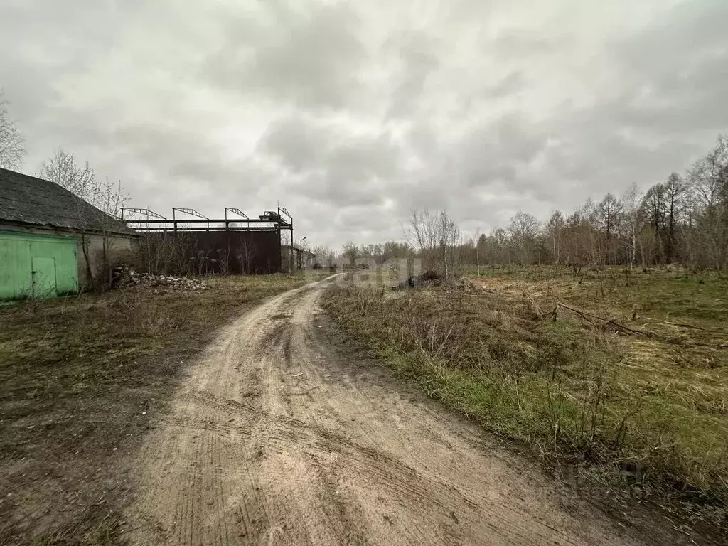 Участок в Владимирская область, Муром с. Борисоглеб, ул. Прудовая ... - Фото 1
