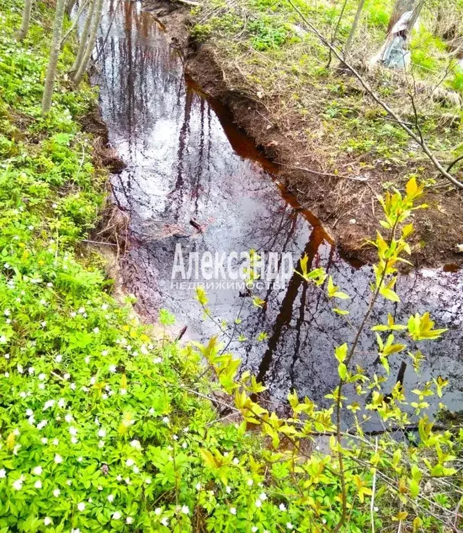 Участок в Ленинградская область, Выборгский район, Советское городское ... - Фото 1