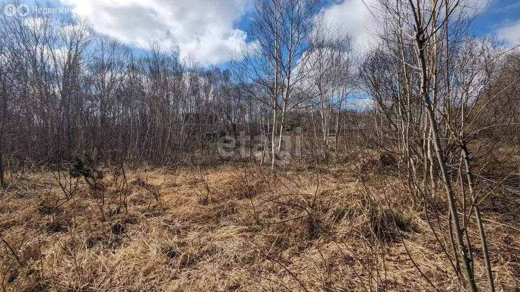 Участок в Елизовский район, садовое некоммерческое товарищество Свет ... - Фото 1