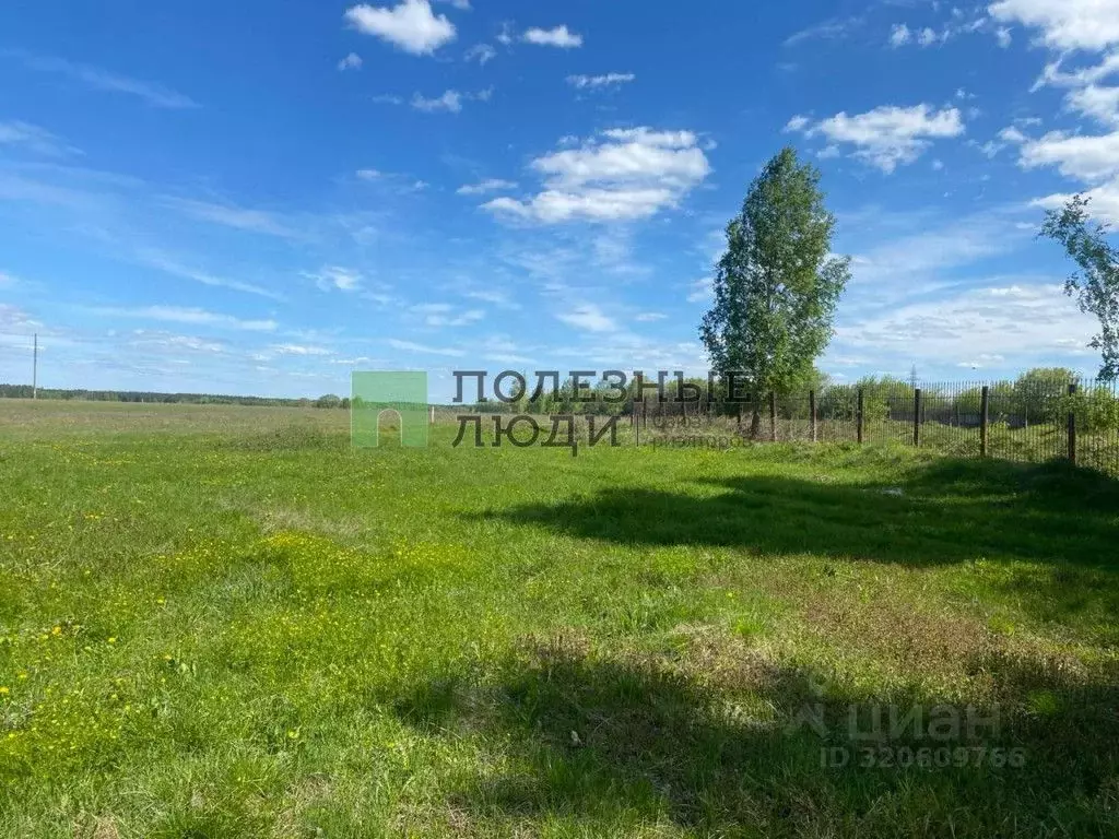 Участок в Татарстан, Зеленодольский район, Айшинское с/пос, с. Айша ... - Фото 1