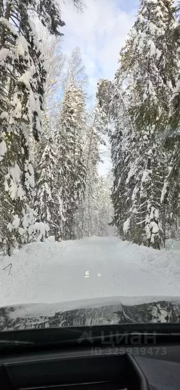 Дом в Нижегородская область, Семеновский муниципальный округ, пос. ... - Фото 2