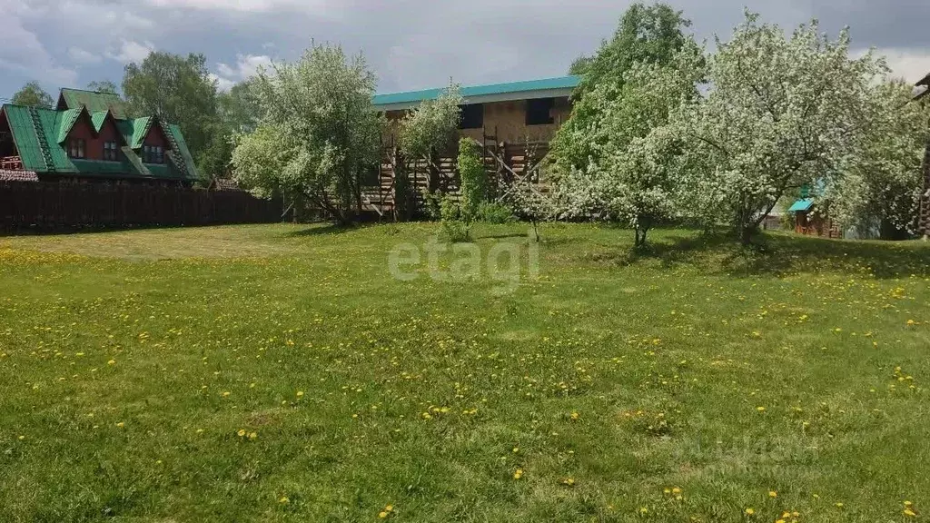 Участок в Алтай, Майминский район, с. Соузга Айская ул. (31.6 сот.) - Фото 1