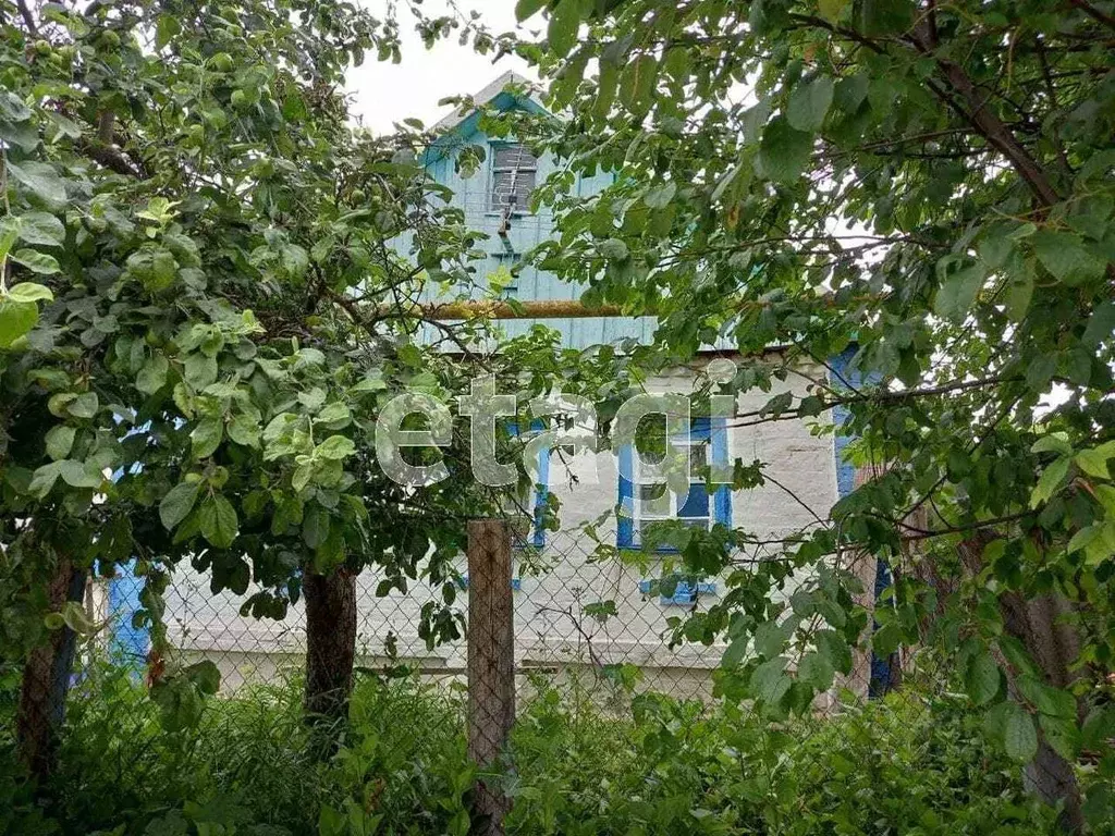 Дом в Белгородская область, Волоконовский район, с. Голофеевка  (31 м) - Фото 0