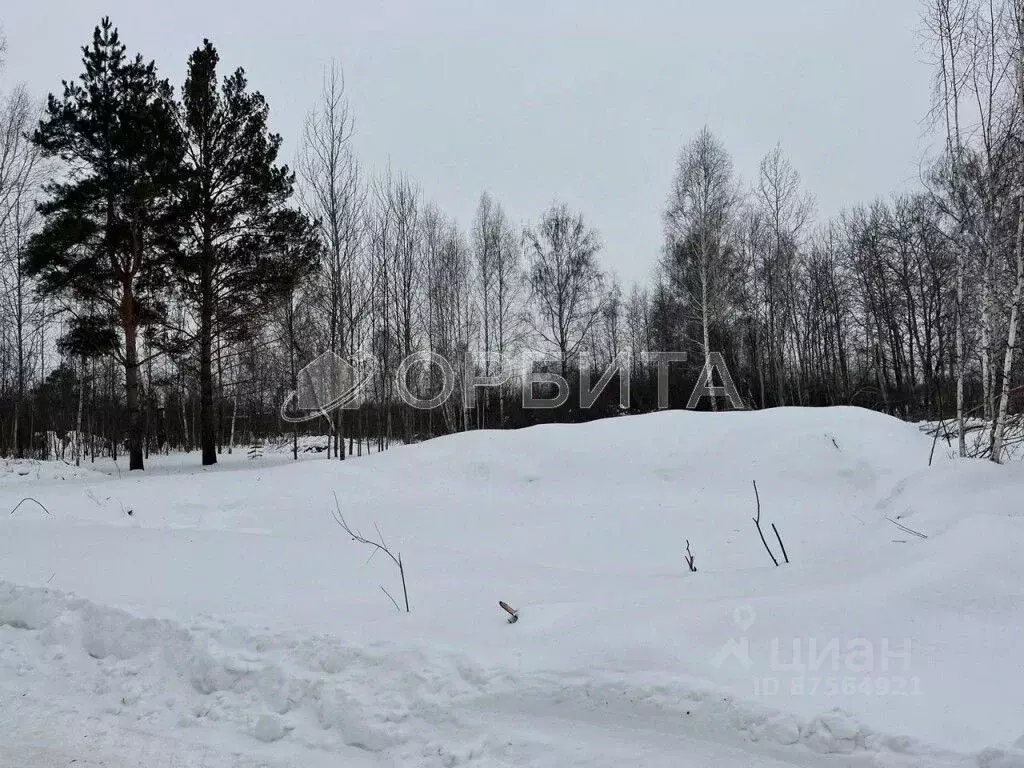 Участок в Тюменская область, Тюмень Березняки СНТ,  (10.0 сот.) - Фото 0