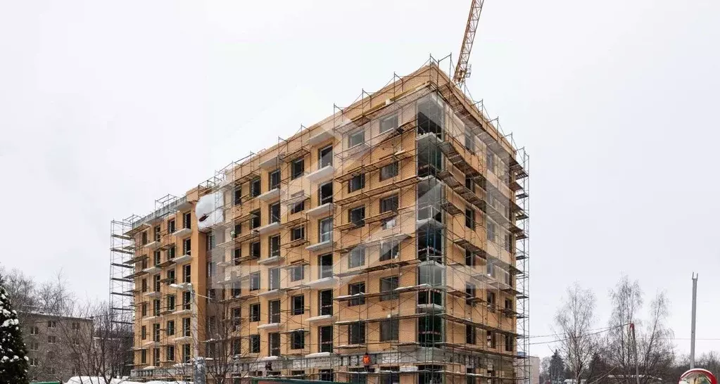 Торговая площадь в Московская область, Одинцовский городской округ, ... - Фото 1