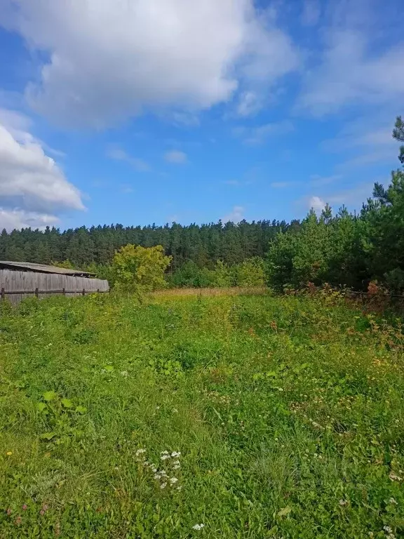 Участок в Свердловская область, Белоярский пгт, Пышминский ... - Фото 1