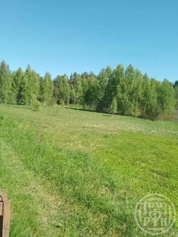 Участок в Ленинградская область, Лужский район, Ретюнское с/пос, д. ... - Фото 2
