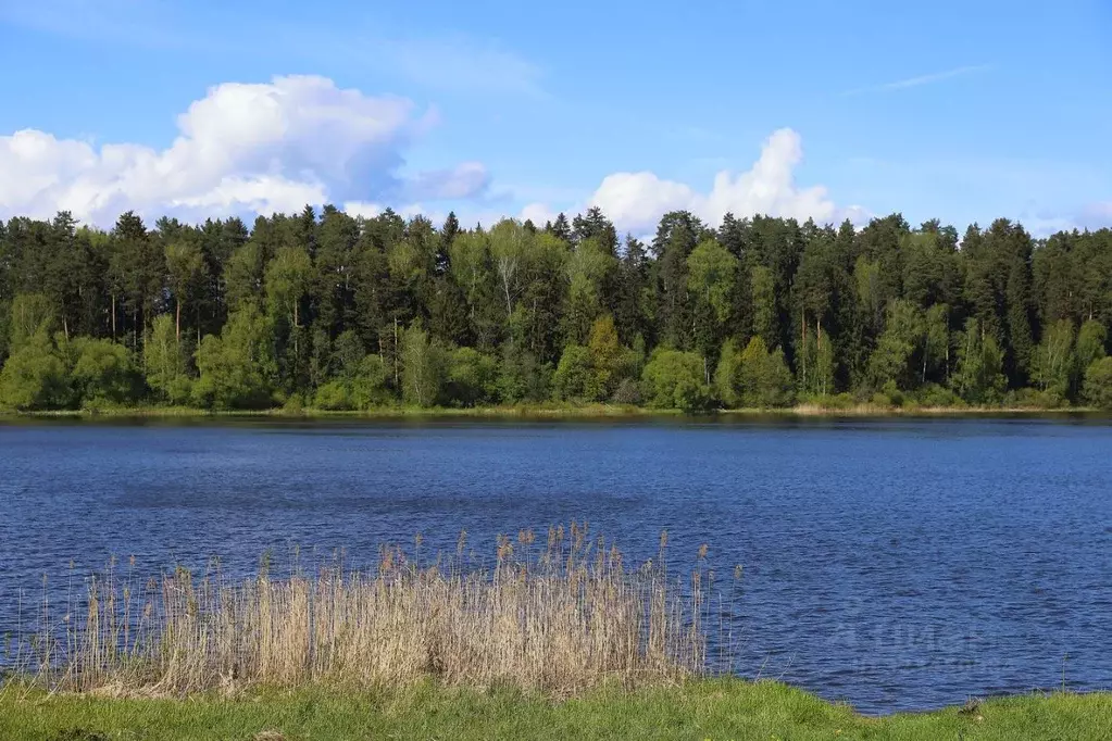 Участок в Московская область, Волоколамский муниципальный округ, КП ... - Фото 1