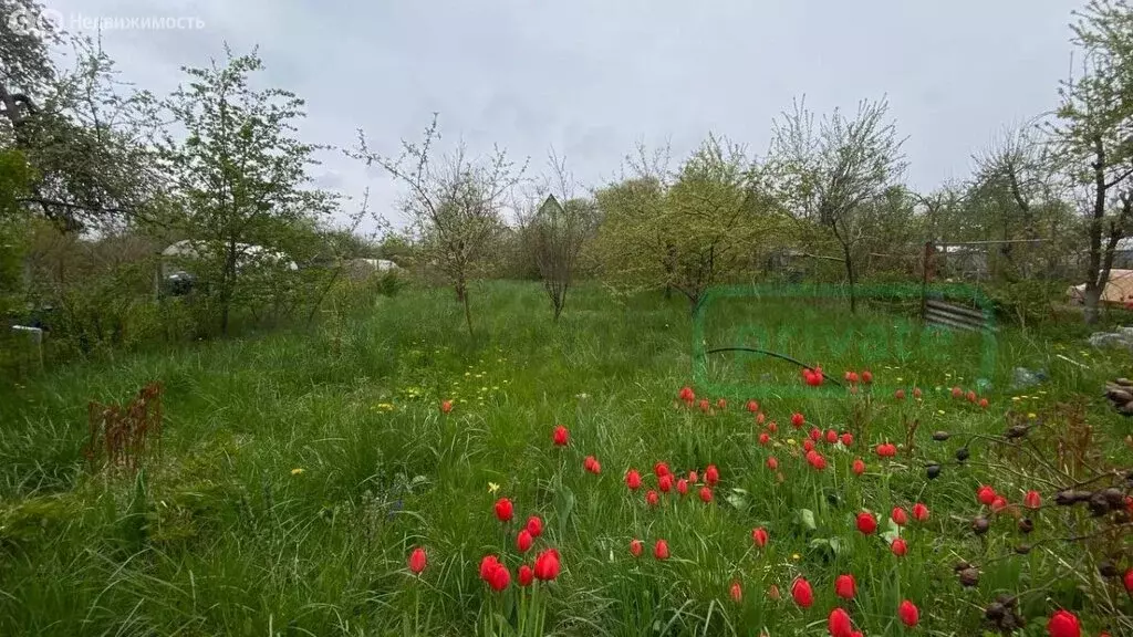 Участок в Калининград, СТ Победа, Литейная улица (5.05 м) - Фото 1
