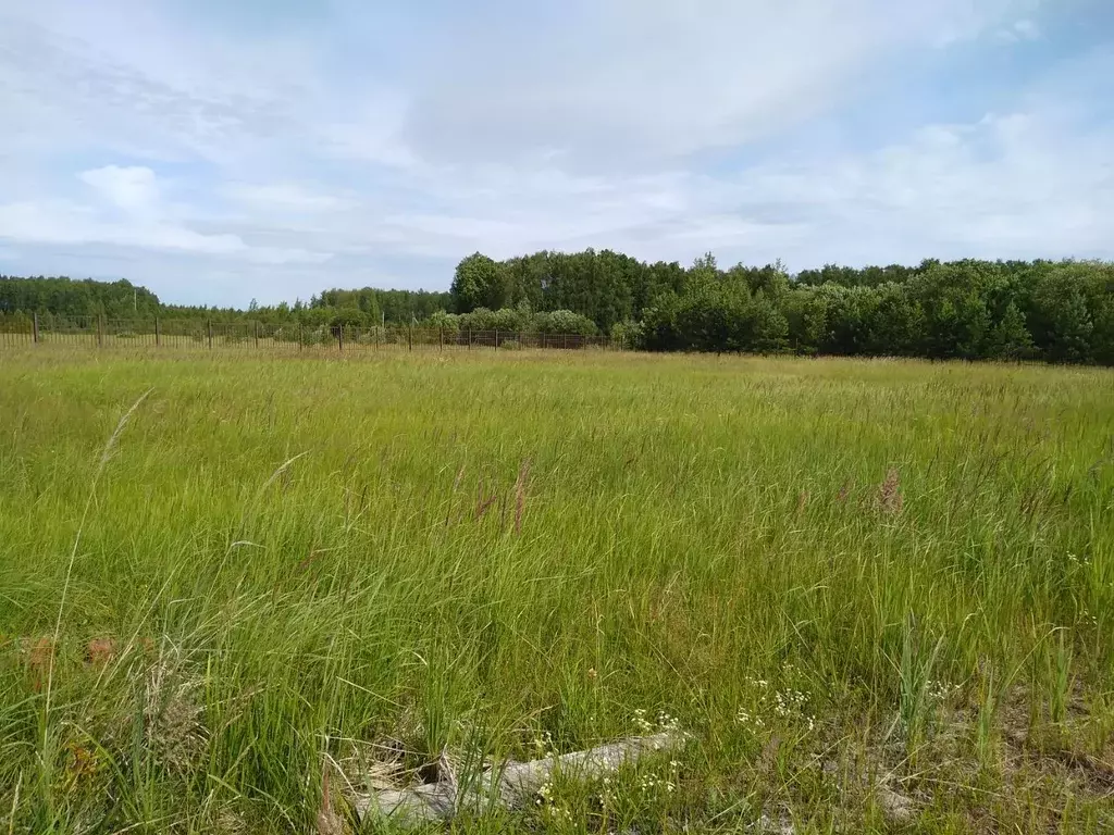 Участок в Калужская область, Тарусский район, Алекино с/пос, д. ... - Фото 2