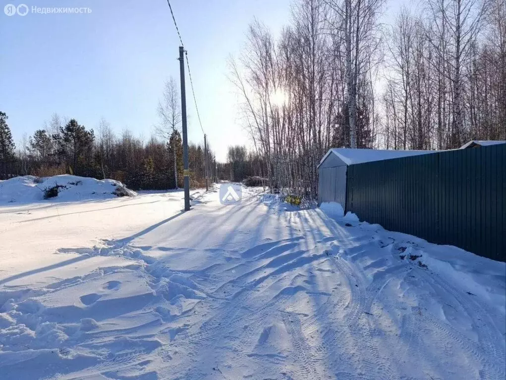 Участок в Нижнетавдинский район, садовое товарищество Моторостроитель, ... - Фото 1