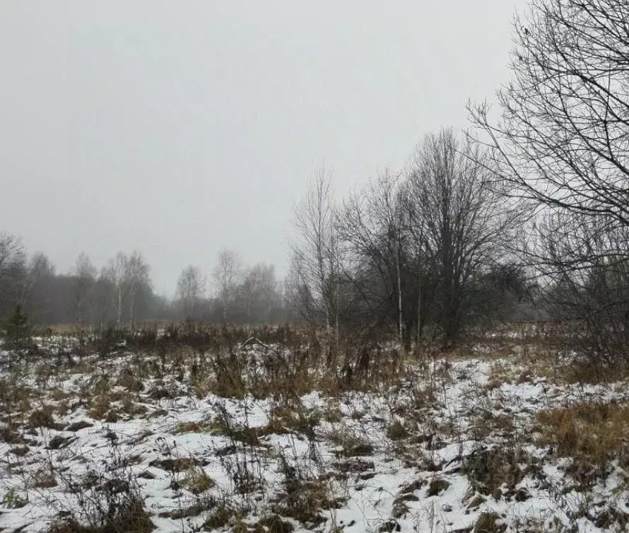 Участок в Московская область, Дмитровский муниципальный округ, д. ... - Фото 1