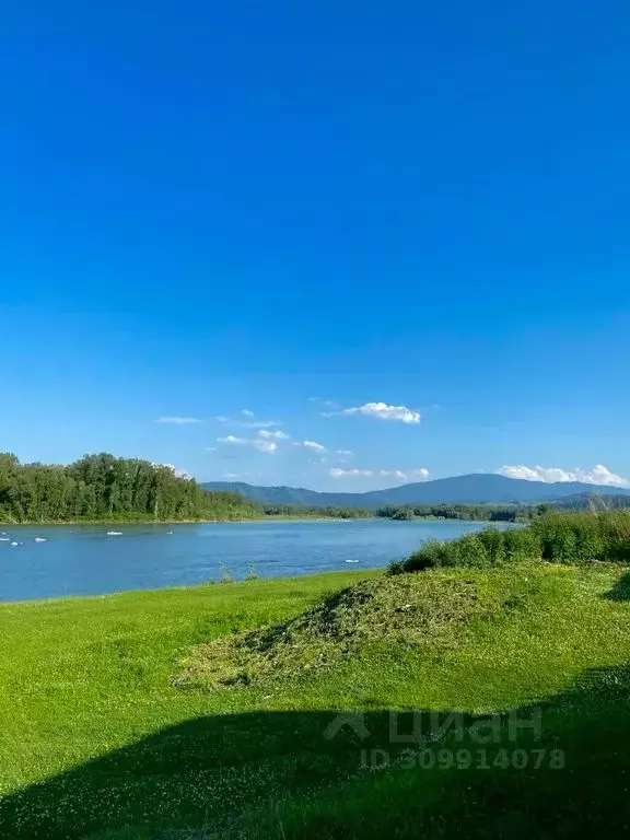 Дом в Алтайский край, Алтайский район, Айский сельсовет, с. Ая ул. ... - Фото 1