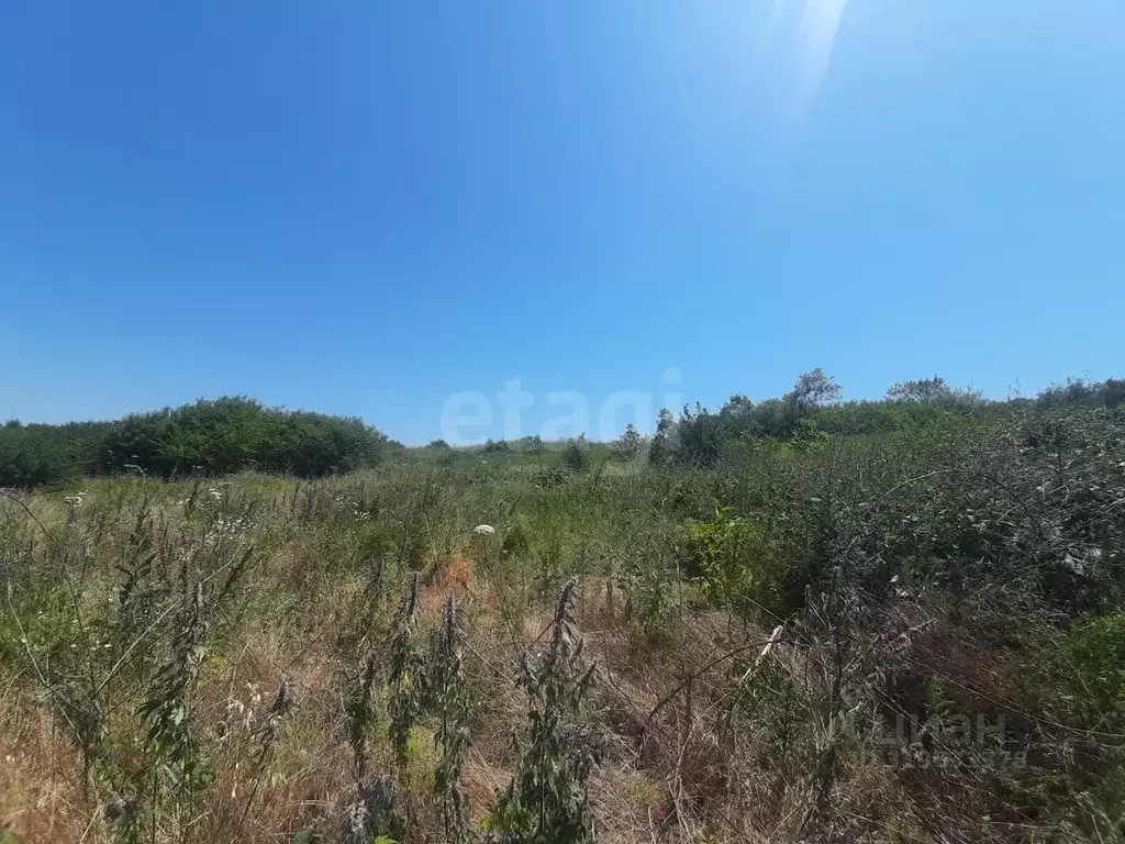 Участок в Ставропольский край, Железноводск городской округ, пос. ... - Фото 2