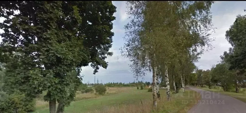 Участок в Брянская область, Карачев  (511.0 сот.) - Фото 1