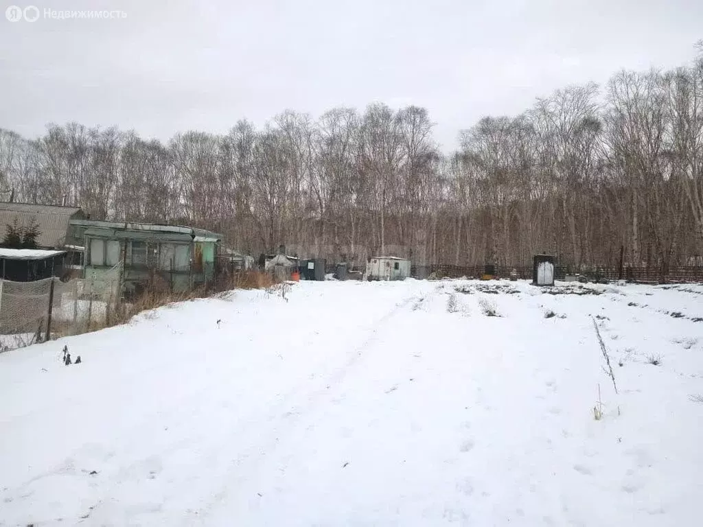 Участок в Камчатский край, Елизовский муниципальный округ, ... - Фото 2