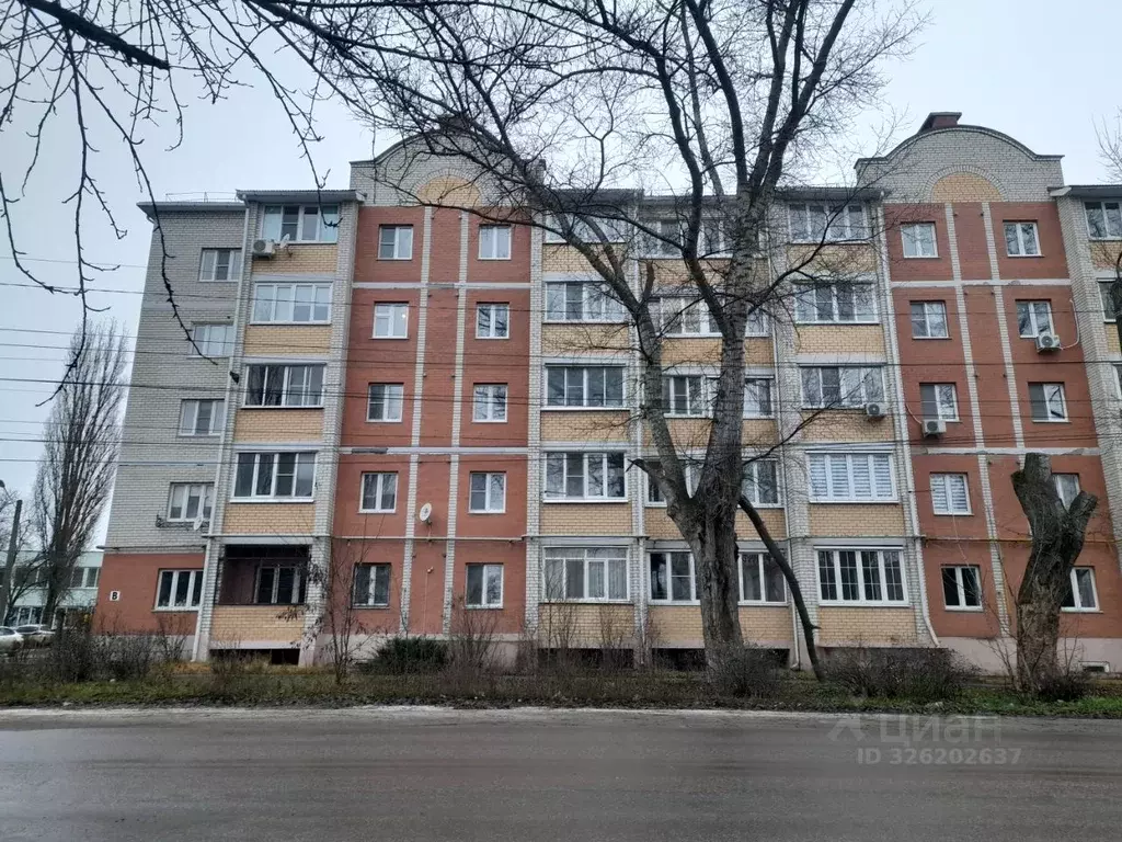 1-к кв. Липецкая область, Елец ул. Костенко, 42В (37.1 м) - Фото 2