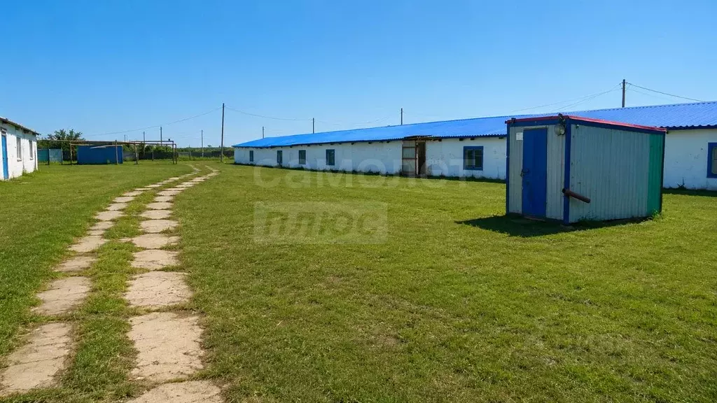 Помещение свободного назначения в Самарская область, Волжский район, ... - Фото 1