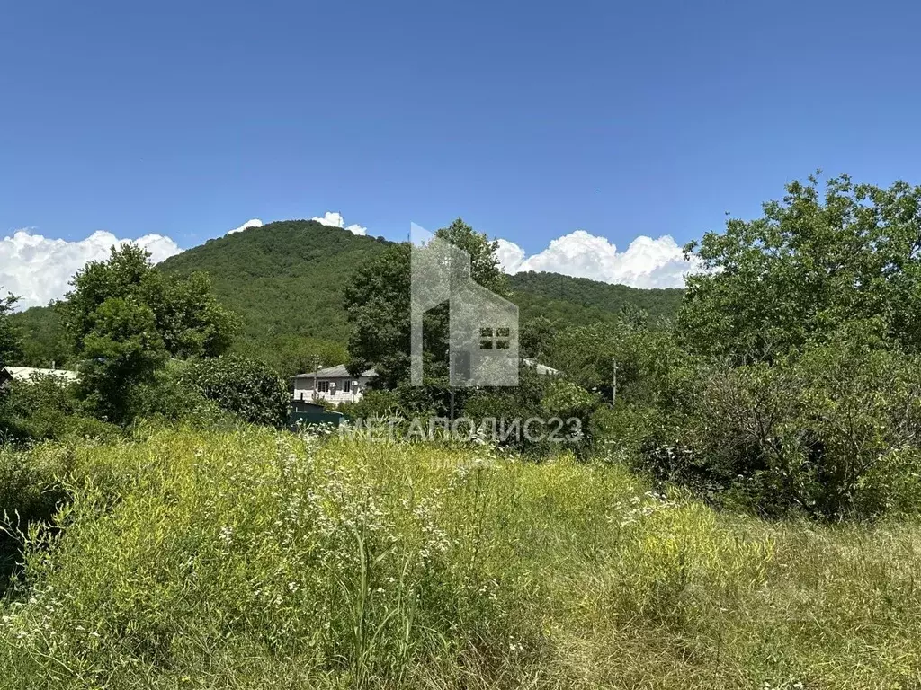Участок в Краснодарский край, Геленджик городской округ, с. Береговое  ... - Фото 2