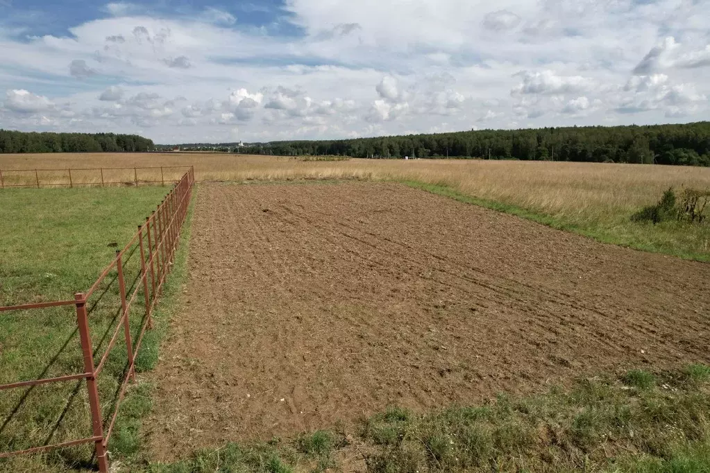 Участок в Московская область, Домодедово городской округ, д. Житнево ... - Фото 0