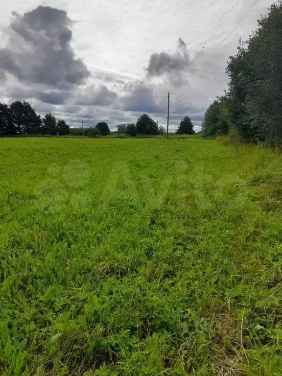 Участок в Псковская область, Палкинский район, Новоуситовская волость, ... - Фото 1