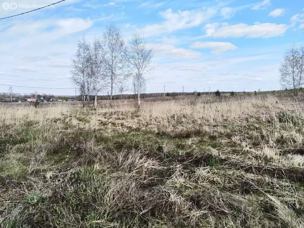 Участок в Орловский муниципальный округ, деревня Сабуровские Выселки, ... - Фото 2