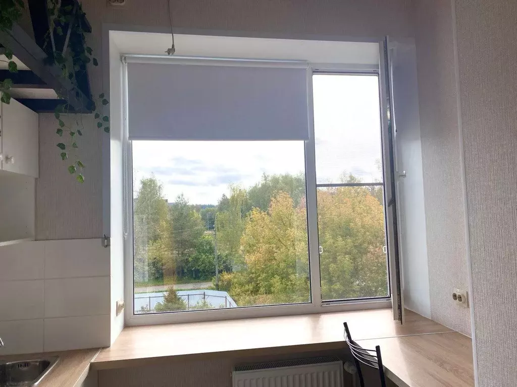 1-к кв. Московская область, Истра муниципальный округ, Снегири пгт ул. ... - Фото 1