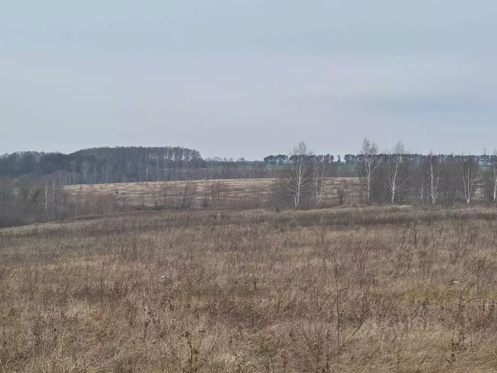 Участок в Московская область, Кашира городской округ, д. Аладьино  ... - Фото 0