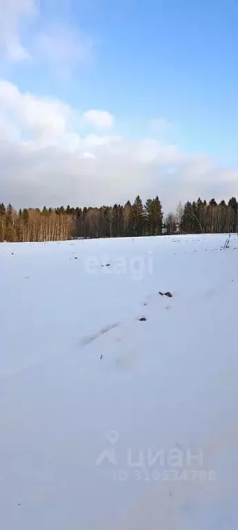 Участок в Пермский край, Добрянский городской округ, д. Залесная ул. ... - Фото 1