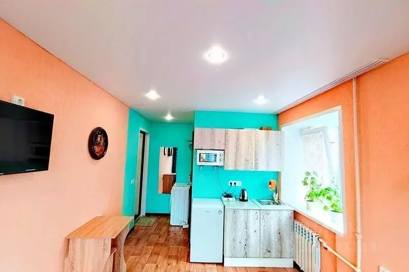 1-к кв. Алтайский край, Барнаул Деповская ул., 29 (16.0 м) - Фото 2