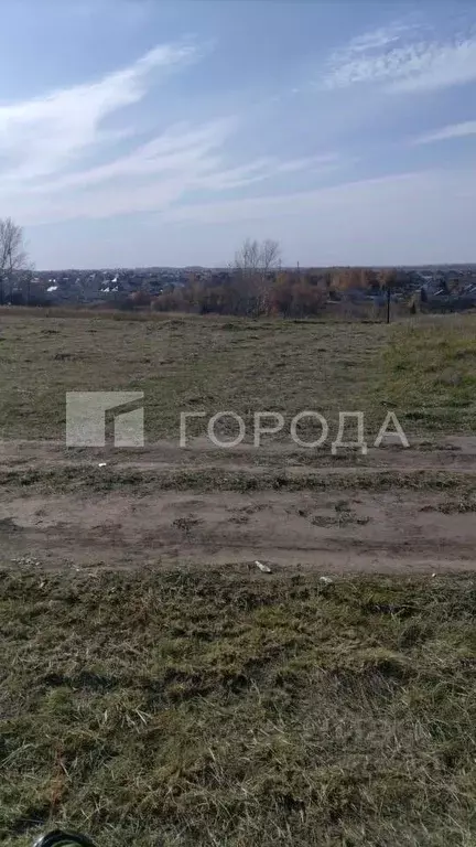 Участок в Алтайский край, Барнаул городской округ, Поселок Казенная ... - Фото 2