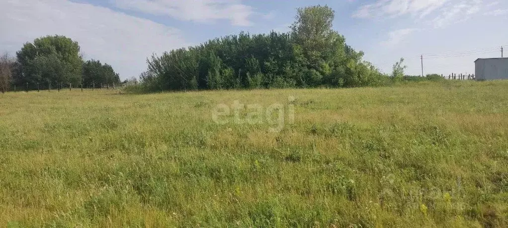 Участок в Белгородская область, Губкинский городской округ, с. Осколец ... - Фото 0