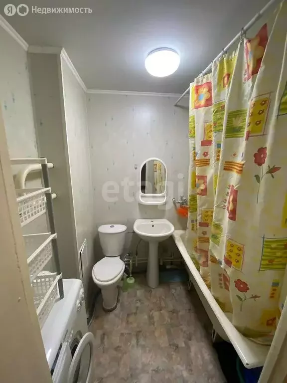 1-комнатная квартира: Томск, улица Пушкина, 37 (36.5 м) - Фото 1