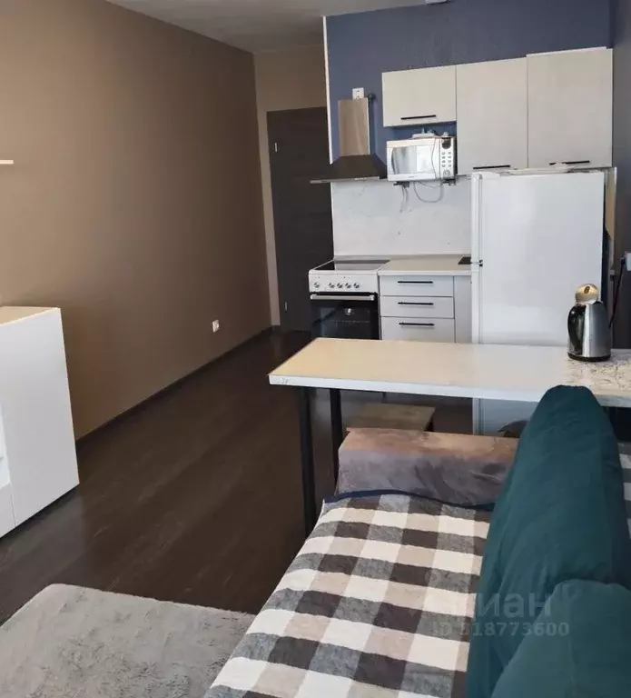 Студия Санкт-Петербург просп. Буденного, 23к5 (24.3 м) - Фото 1