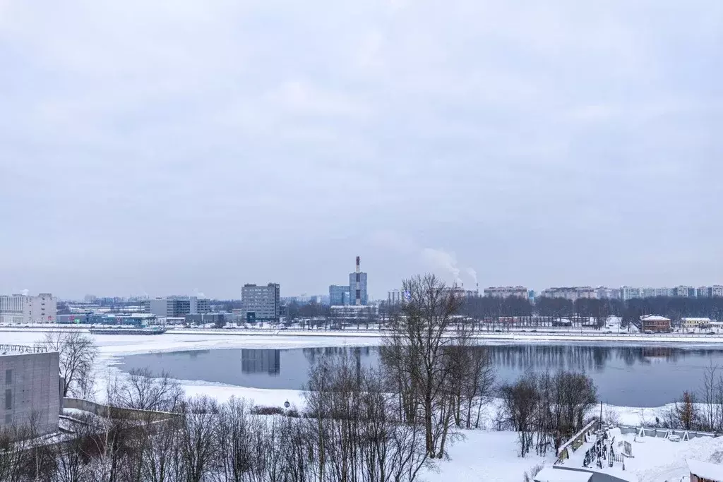 1-к кв. Санкт-Петербург просп. Обуховской обороны, 36 (31.7 м) - Фото 1