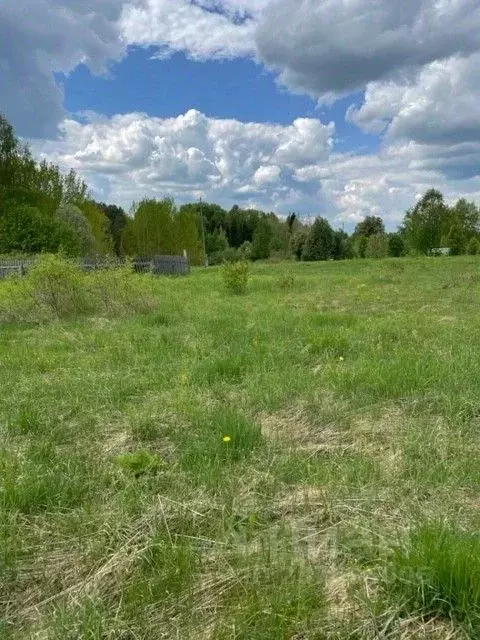 Участок в Кировская область, Орловский район, д. Скозырята 6 (18.5 ... - Фото 2