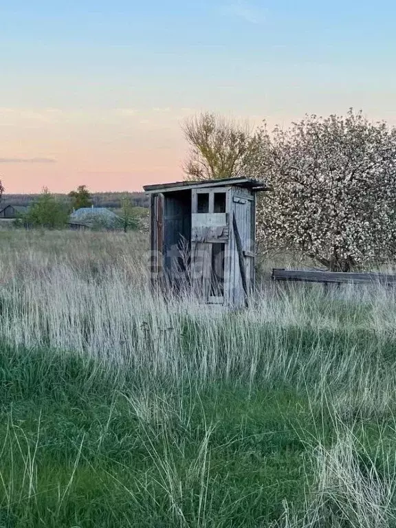 Участок в Воронежская область, Борисоглебский городской округ, с. ... - Фото 1