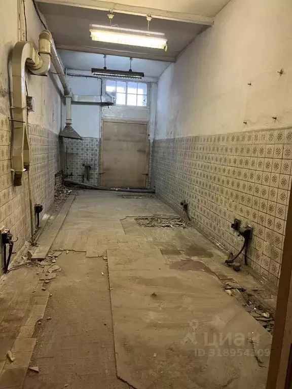 Помещение свободного назначения в Санкт-Петербург Кадетская линия, 1-3 ... - Фото 0
