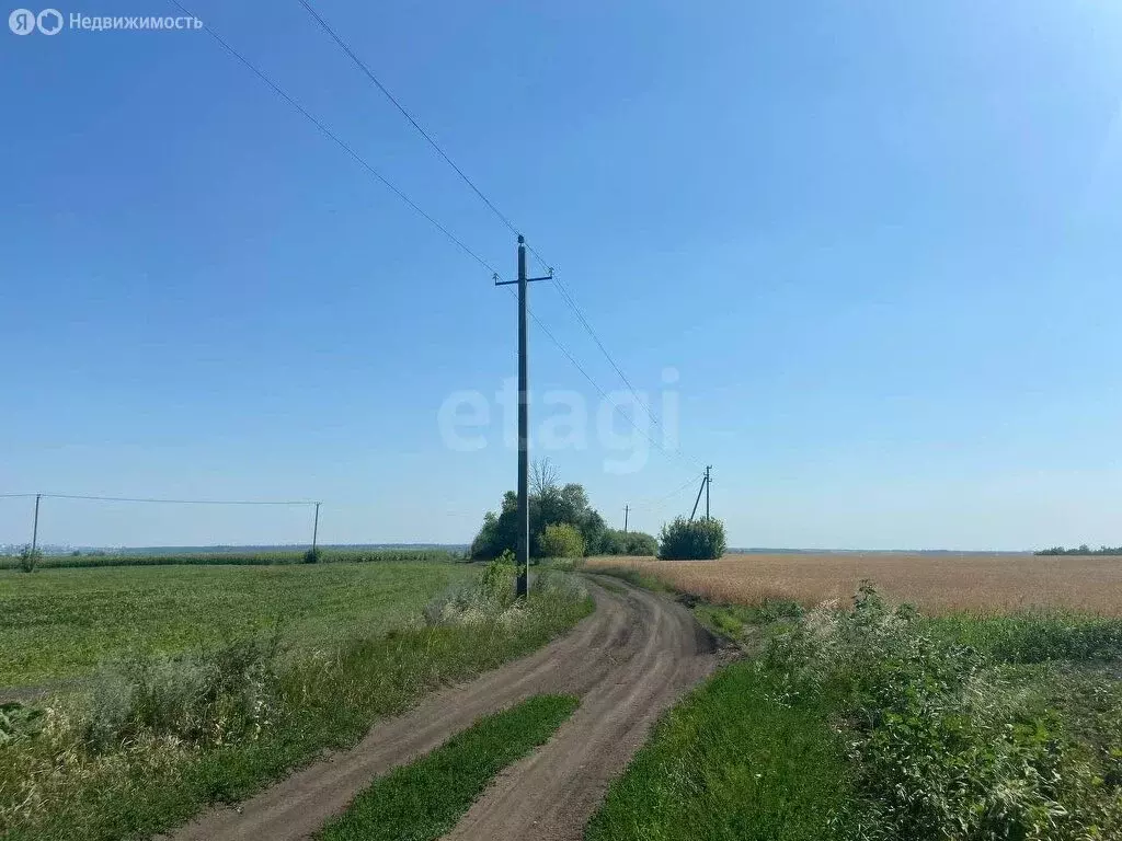 Участок в Белгородский район, село Стрелецкое (400 м) - Фото 0