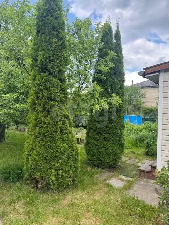 Дом в Московская область, Подольск ЗИО № 3 СНТ, 133 (21 м) - Фото 1