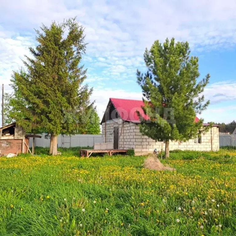 Дом в Новосибирская область, Тогучинский район, с. Усть-Каменка ул. ... - Фото 0