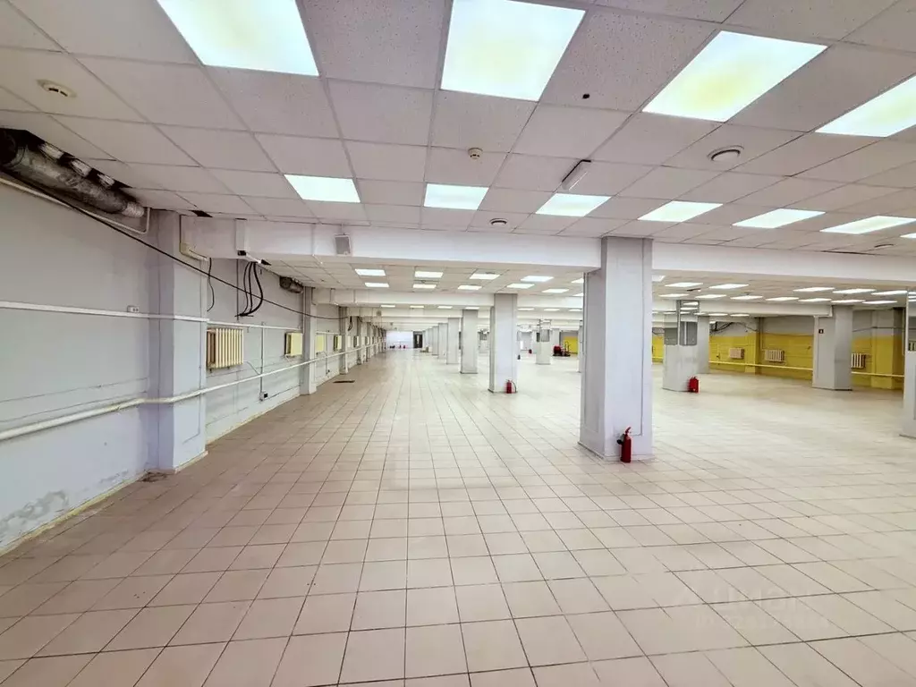 Помещение свободного назначения в Брянская область, Брянск ул. ... - Фото 1