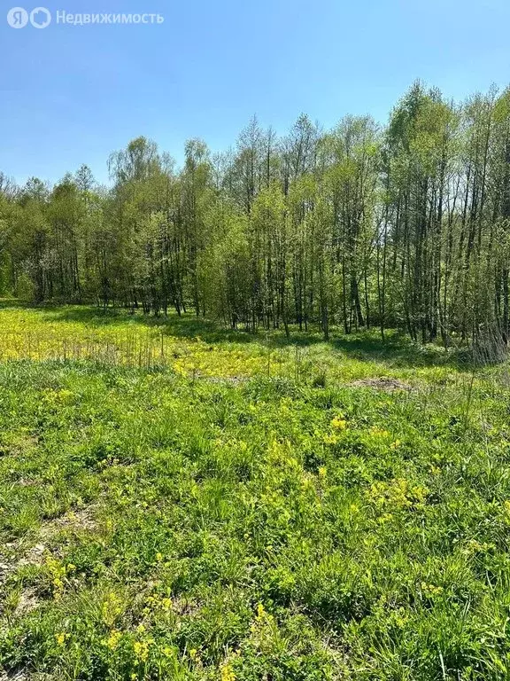 участок в московская область, городской округ серпухов, деревня . - Фото 1