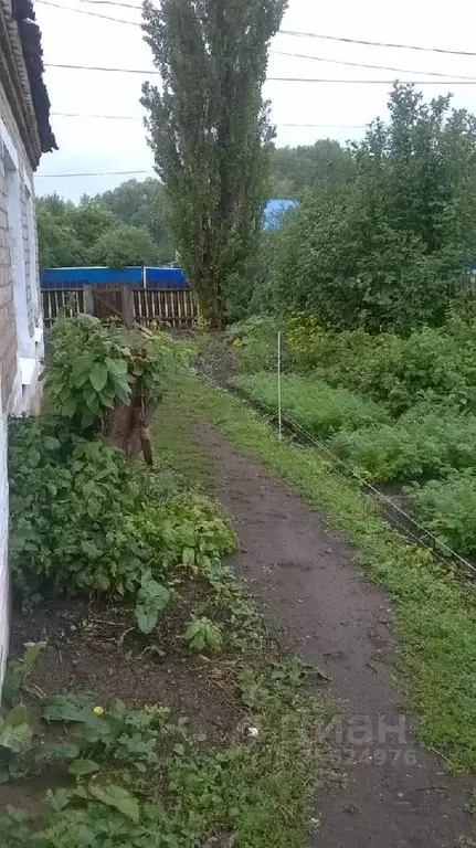 Дом в Башкортостан, Стерлибашевский район, д. Старый Калкаш ... - Фото 0