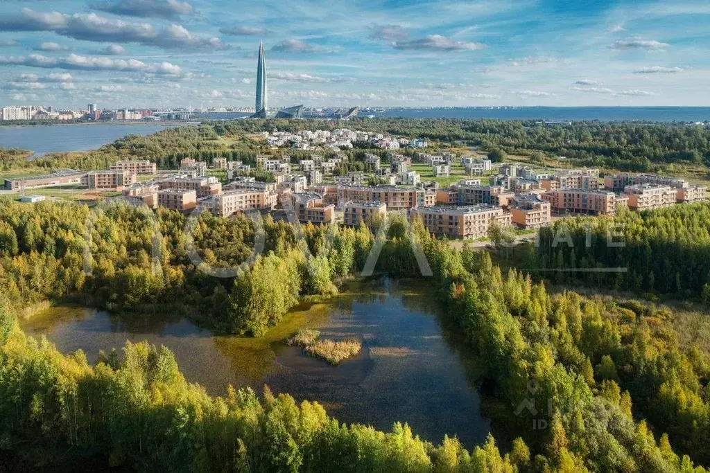 3-к кв. Санкт-Петербург ул. Новая, 51к6 (82.9 м) - Фото 2