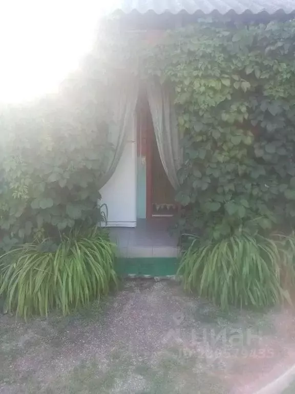 Дом в Краснодарский край, Ейский район, Должанская ст-ца Прилиманная ... - Фото 1